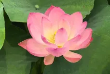 http://oss.cjn.cn/images/20250517/1747434652181c2c4a9d0-2cf3-4683-b8e7-ee4b479d26b4.jpg