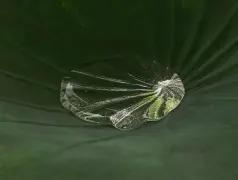 http://oss.cjn.cn/images/20250517/17474374646670c53c8d0-df73-4cf0-9f3d-2fd6bd1959ec.jpg