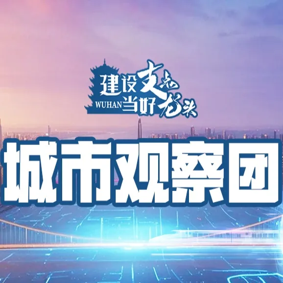 城市观察团征集令·建设支点 当好龙头