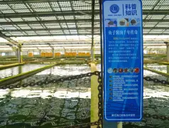 http://oss.cjn.cn/images/20250517/17474891441677a871795-9fb2-4084-a1c9-9322bc397785.jpg