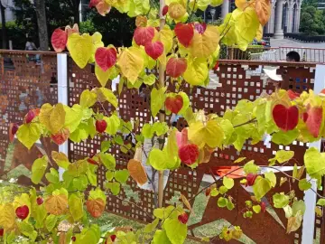 http://oss.cjn.cn/images/20250518/1747521545794c6595d9a-ef64-404e-93e6-12913c5db5c6.jpg