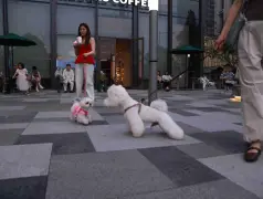 http://oss.cjn.cn/images/20250518/174756596649482d3996c-dffc-44b2-8ad2-b07325b17e6b.jpg