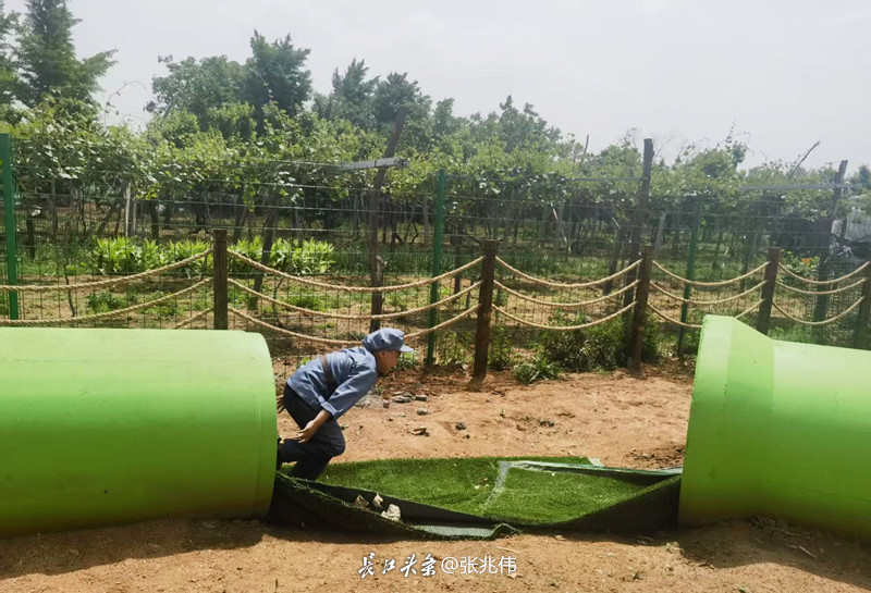 微信图片_20250519161135_副本.jpg