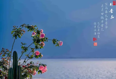http://oss.cjn.cn/images/20250520/174772213162733278802-a117-4879-bc4c-f8ab6092af82.jpg