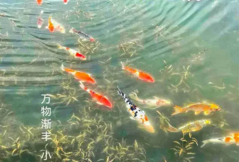 http://oss.cjn.cn/images/20250520/1747724244453b21fce1c-c0de-4501-9145-303e49a52c50.jpg