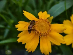 http://oss.cjn.cn/images/20250520/1747726810602f6d67643-c108-4790-b7b9-7bf6b4df6784.jpg