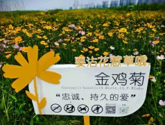 http://oss.cjn.cn/images/20250520/1747726829982a6138a57-b7ea-4bdb-859d-96ec6dcd7555.jpg