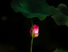 http://oss.cjn.cn/images/20250520/17477356386686235967e-2375-419a-81e1-7914c025daf3.jpg