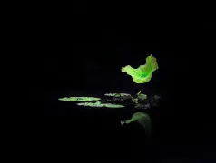 http://oss.cjn.cn/images/20250520/1747735654697ca04814b-b7f3-486f-b0f7-6a274c7f2a62.jpg