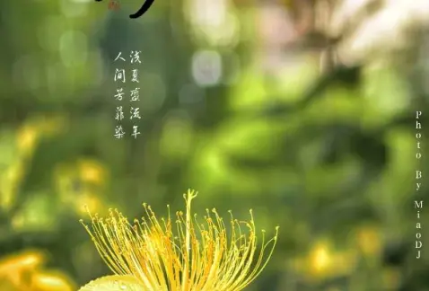 http://oss.cjn.cn/images/20250521/17477838372705e7212cc-135f-44cb-9894-584695cc3cd2.jpg