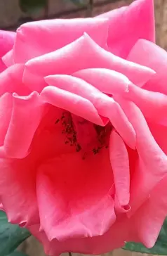 http://oss.cjn.cn/images/20250525/1748180770285fd7c7322-907c-4084-b334-6fb3142b64ef.jpg