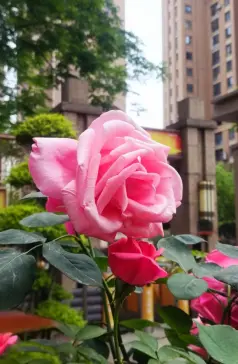 http://oss.cjn.cn/images/20250525/1748180787168ee393c37-a0c8-4361-ad93-af6d6df62359.jpg