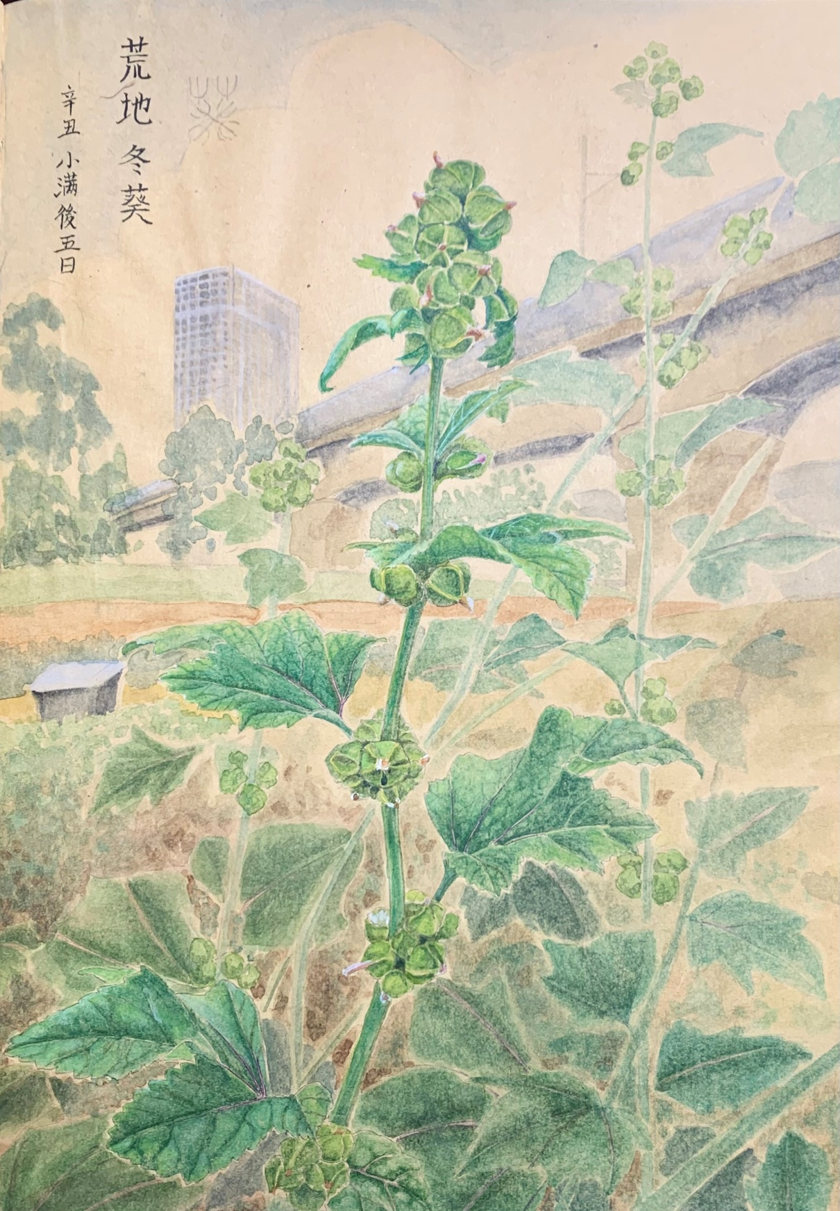 图片10.png