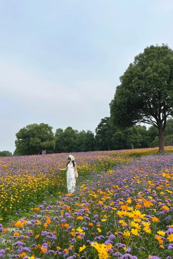 花博会