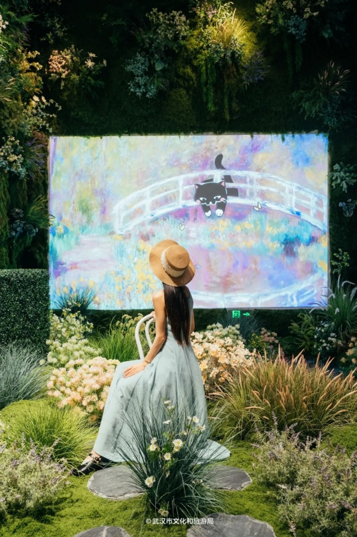 看展