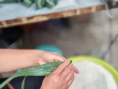 http://oss.cjn.cn/images/20250531/17486454924034d7d4fd0-b9c9-499a-a43a-aeda54a5ba8e.jpg