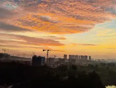 http://oss.cjn.cn/images/20250607/174924793425991548f3e-d4e7-489f-b15d-91fa266a7679.jpg