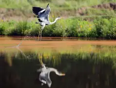 http://oss.cjn.cn/images/20250607/17492688749709bd5a643-8756-47b0-a043-68592acf0a78.jpg