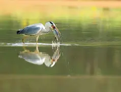 http://oss.cjn.cn/images/20250607/1749268877711346d80b9-5274-45c5-bd98-69bdf5ffd951.jpg