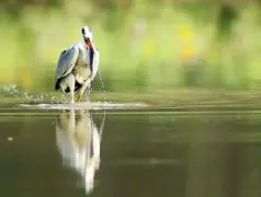 http://oss.cjn.cn/images/20250607/17492688797365b577b7f-6aad-4635-851b-991b73ba0fa3.jpg