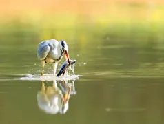 http://oss.cjn.cn/images/20250607/1749268880594aa6efc8d-a3c4-453e-9d4a-02aff5fd0566.jpg