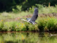 http://oss.cjn.cn/images/20250607/1749268888620591954cf-0c3b-4d50-aee2-3c05eeb7cd6d.jpg