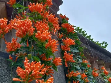 http://oss.cjn.cn/images/20250607/1749301540625c2981ece-a9af-405d-b408-7a6b3bca99f3.jpg