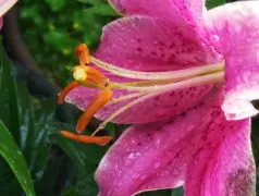 http://oss.cjn.cn/images/20250609/1749449425577f12ecf5c-36c7-4e0f-8977-4a7eafa14fbe.jpg