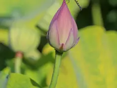 http://oss.cjn.cn/images/20250614/17498935888754c54f3f5-795b-446c-8a85-ac35838079ed.jpg