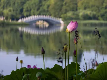 http://oss.cjn.cn/images/20250618/1750206976553c254a7db-020f-4bdb-b446-4e965d0da42e.jpg