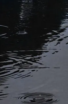 http://oss.cjn.cn/images/20250619/17503282148177f12365f-c399-4a3d-bec3-903e04fffa29.jpg