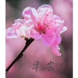 难得糊涂