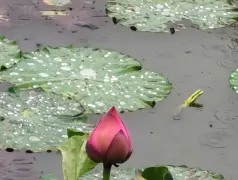 http://oss.cjn.cn/images/20250627/17510178004966702ea15-a936-4da6-99b6-86bdd0673b5b.jpg