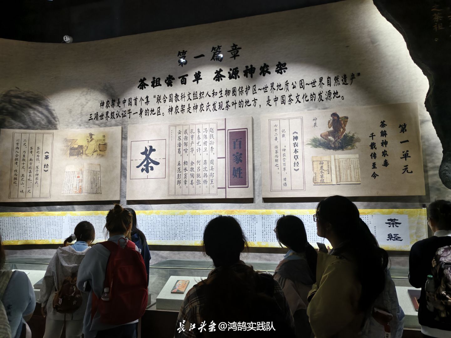 图1：鸿鹄实践队队员参观神农架茶祖博物馆.jpg