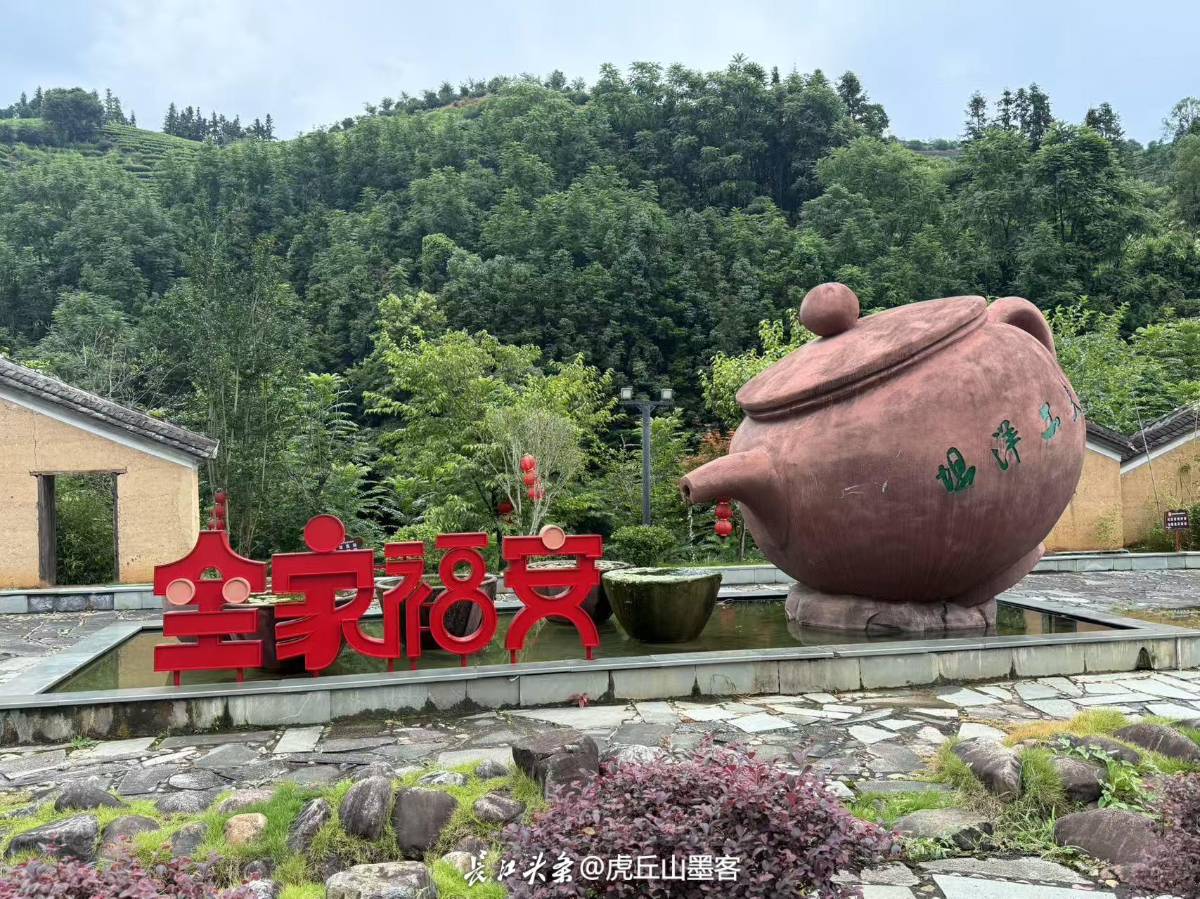 茶叶.jpg