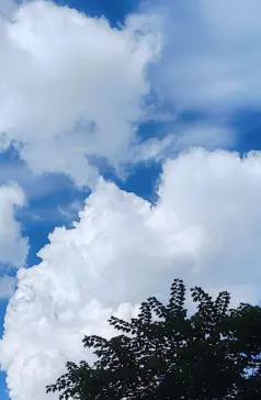 http://oss.cjn.cn/images/20250628/17511230209093e4a4a59-bd47-47e0-93f1-93f036d6c932.jpg