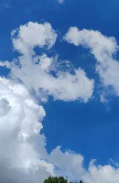 http://oss.cjn.cn/images/20250628/1751123054317bbef32b4-6f93-45bc-a71b-a0e516c5efdf.jpg