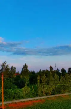 http://oss.cjn.cn/images/20250630/1751234020380d502ff82-3bb7-4fd8-b3ac-500401912d83.jpg