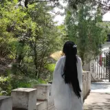 鑫心