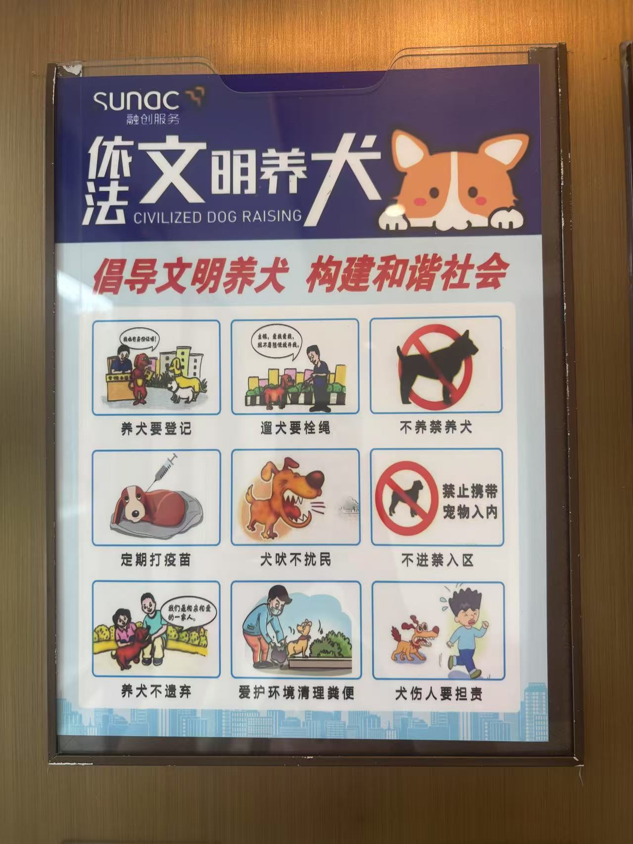 养犬温馨提示