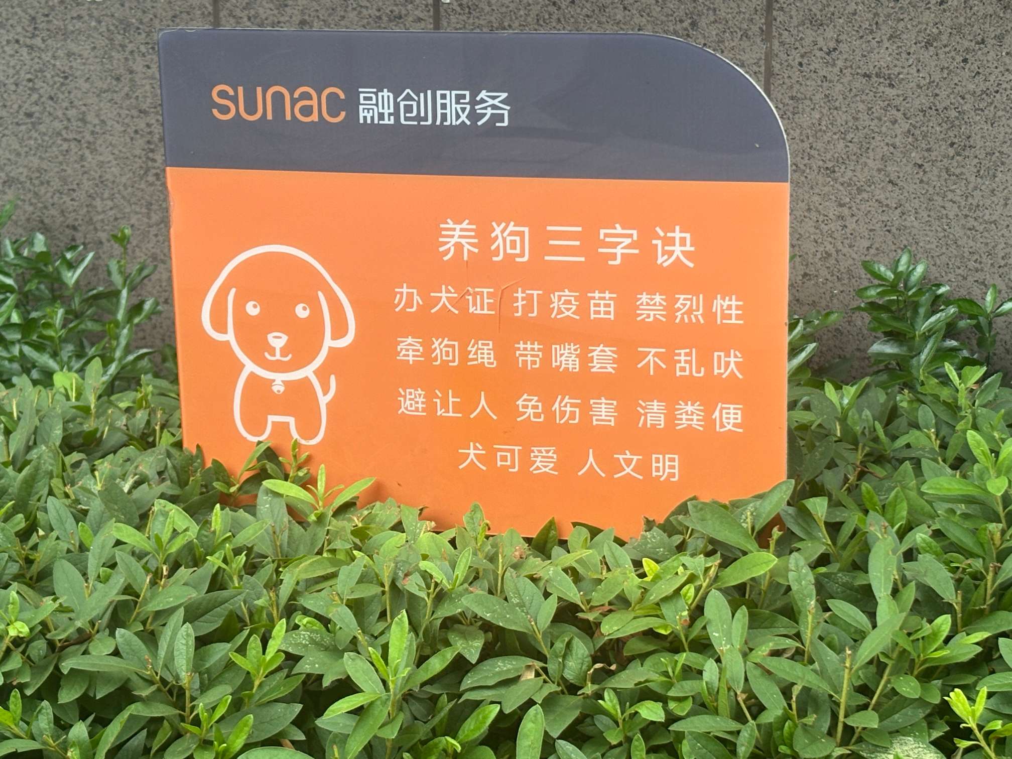 养犬温馨提示2