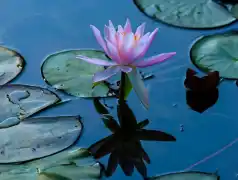 http://oss.cjn.cn/images/20250630/175129136558897090644-d78e-4fc0-8e13-41bdf09876cd.jpg