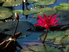 http://oss.cjn.cn/images/20250630/17512913683900f16b775-6274-43a3-b3a6-40778493e76e.jpg
