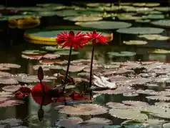 http://oss.cjn.cn/images/20250630/175129136895819c28826-9023-47f3-8e46-260e2c6a820a.jpg