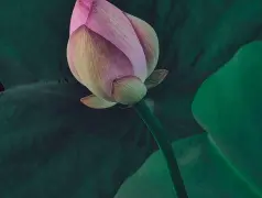 http://oss.cjn.cn/images/20250703/1751506250378fc184076-eb82-42a0-976f-07b924843f94.jpg