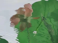 http://oss.cjn.cn/images/20250703/175150626224392051ccc-6f8a-4741-a0d4-95aef4833ce7.jpg
