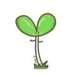 绿芽筑梦—南丁格尔小分队