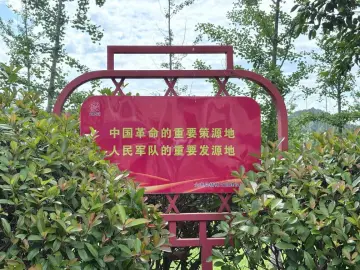 http://oss.cjn.cn/images/20250704/1751631919684fb854dc7-d623-4b06-99c0-d67797199ce1.jpg