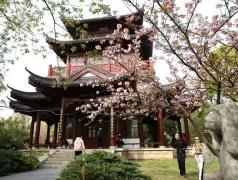 http://oss.cjn.cn/images/20250704/1751643087879389f3f95-90f1-41e9-8f63-3a69c4748e22.jpg