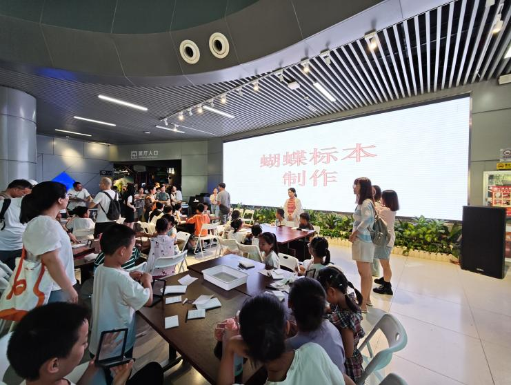 图片3